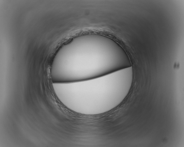 X0000111051492200906251106