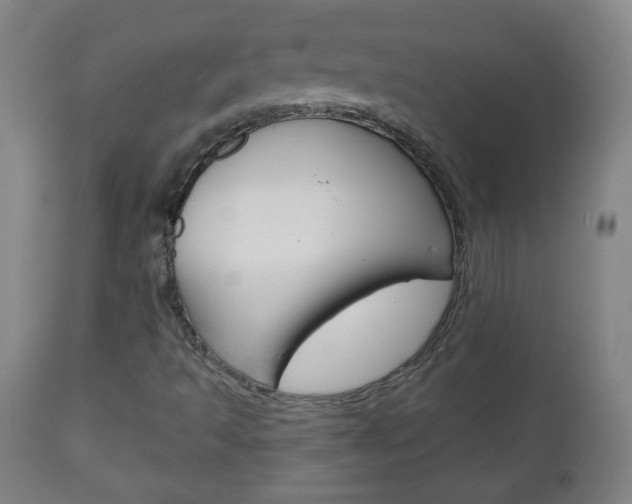 X0000111051493200906251106