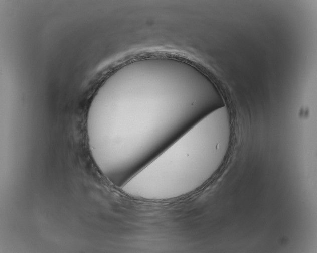 X0000111051494200906251106