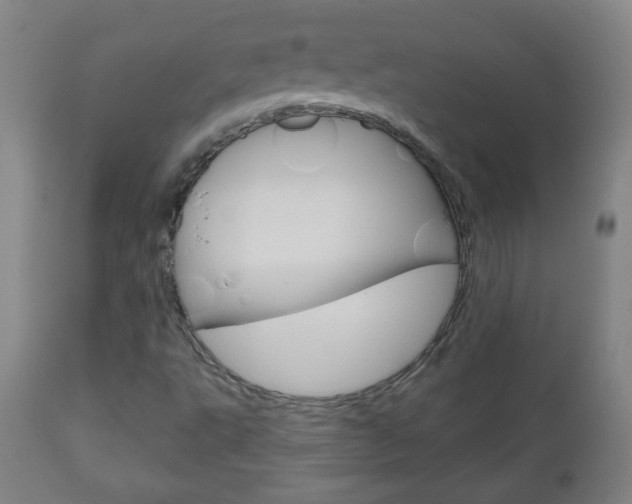 X0000111051495200906251106