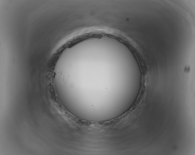 X0000111051496200906251106
