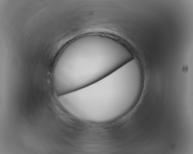X0000111051497200906251106