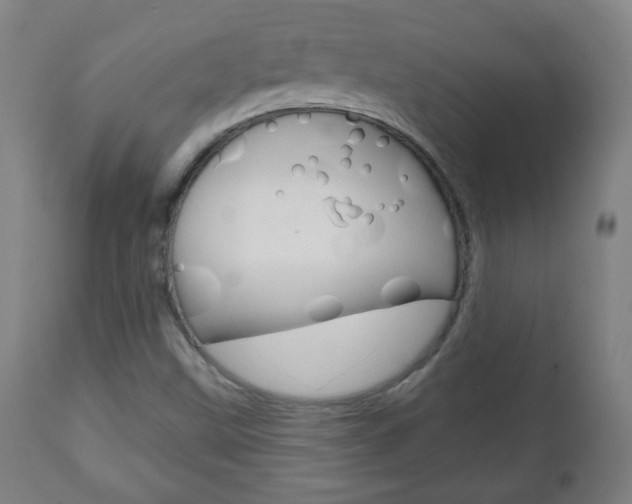 X0000111051499200906251106