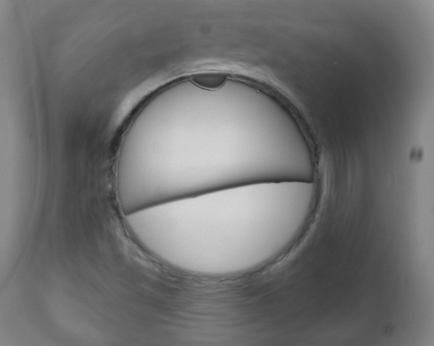 X0000111051501200906251106