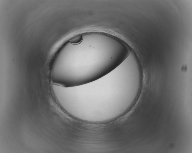X0000111051502200906251106