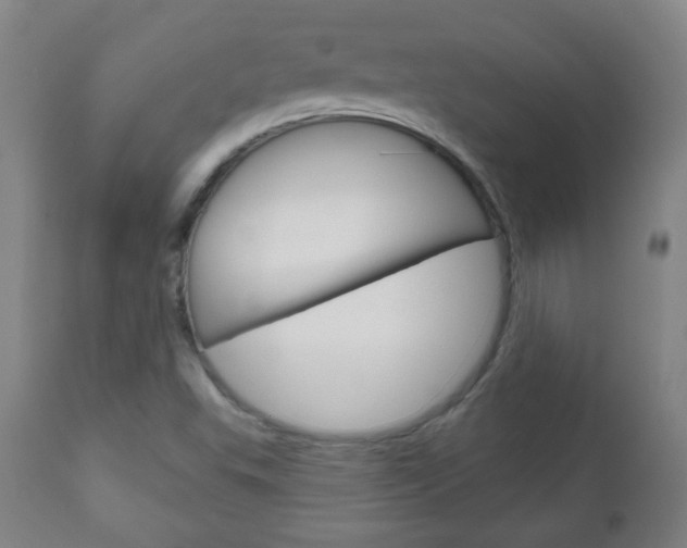 X0000111051503200906251106