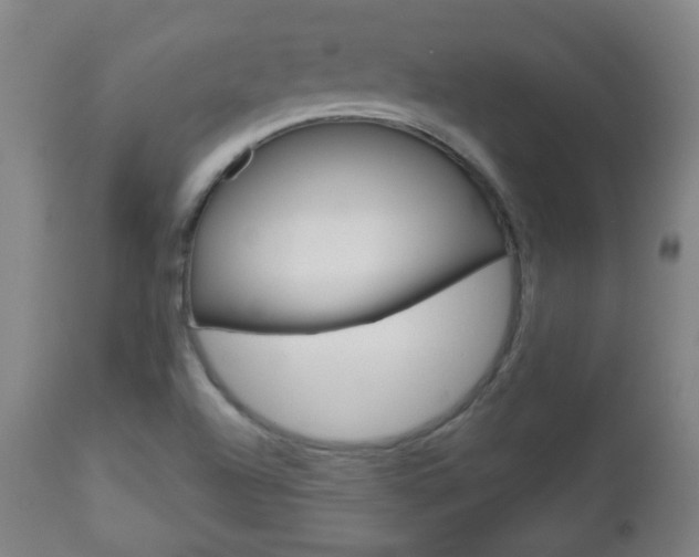 X0000111051504200906251106
