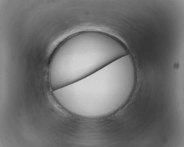 X0000111051507200906251106