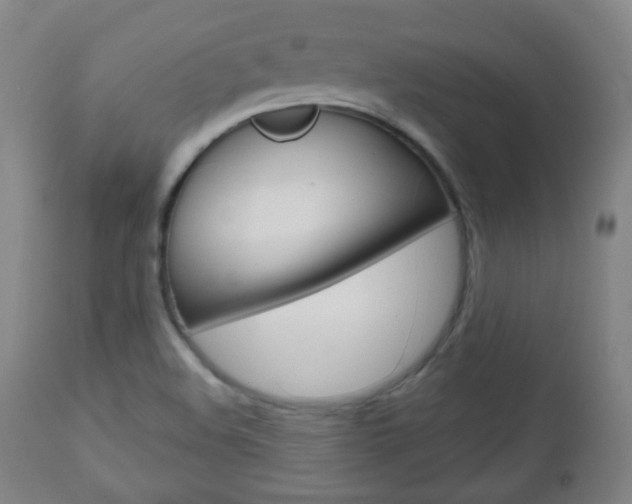 X0000111051508200906251106