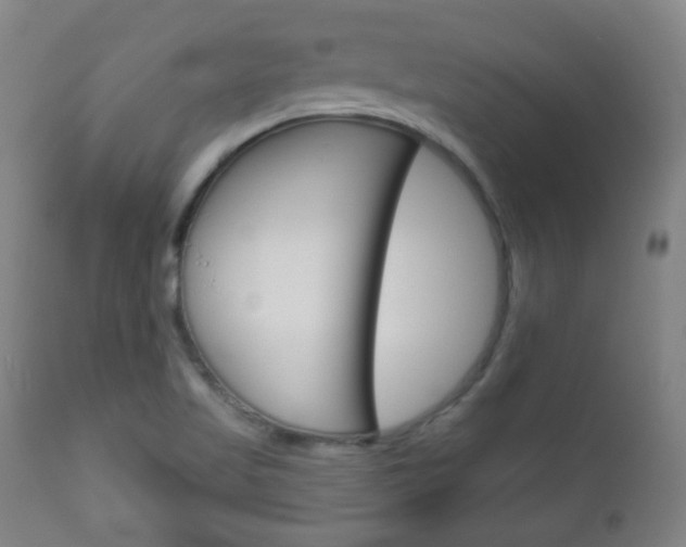 X0000111051509200906251106