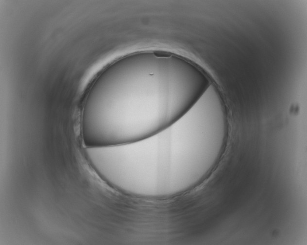 X0000111051510200906251106