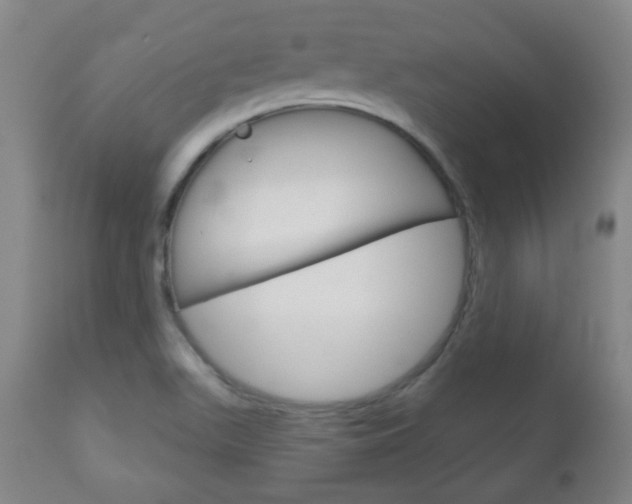 X0000111051511200906251106