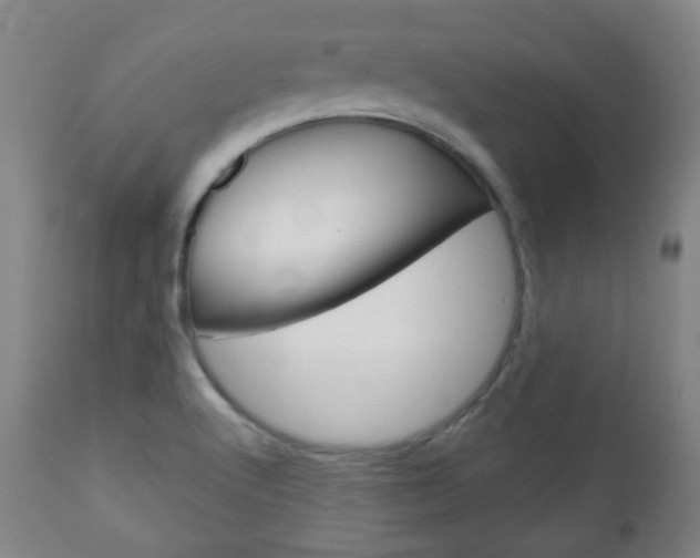 X0000111051512200906251106