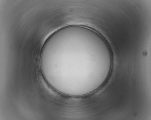 X0000111051513200906251106
