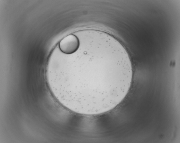 X0000111051514200906251106