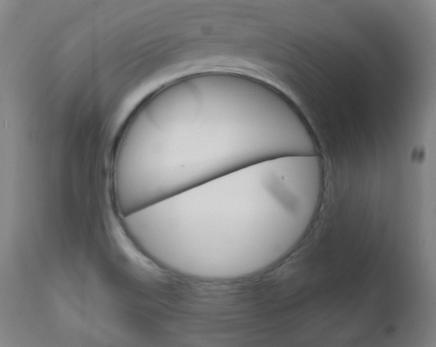 X0000111051515200906251106