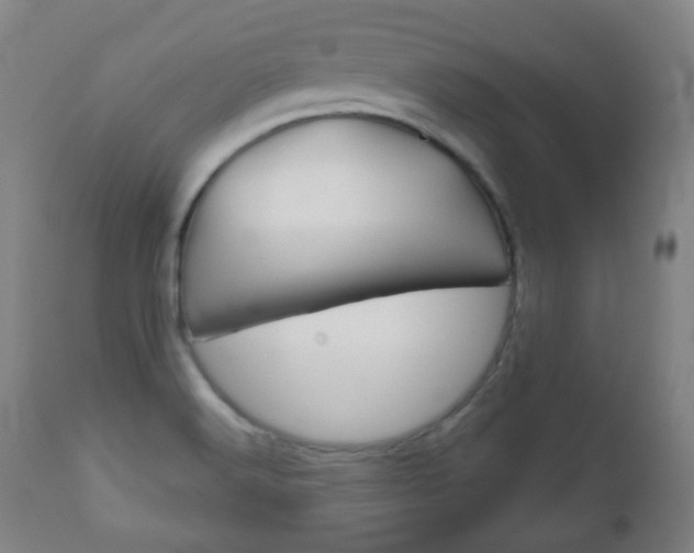 X0000111051516200906251106
