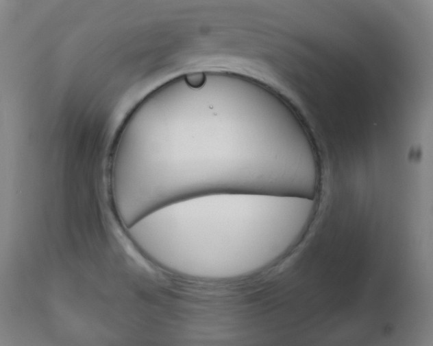 X0000111051517200906251106