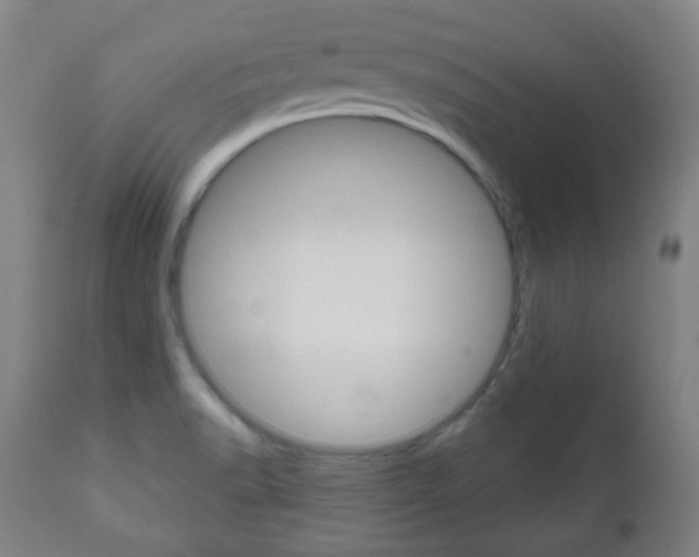 X0000111051518200906251106