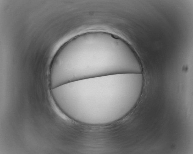 X0000111051519200906251106