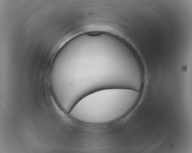 X0000111051521200906251106