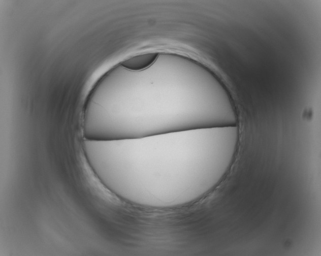 X0000111051522200906251106