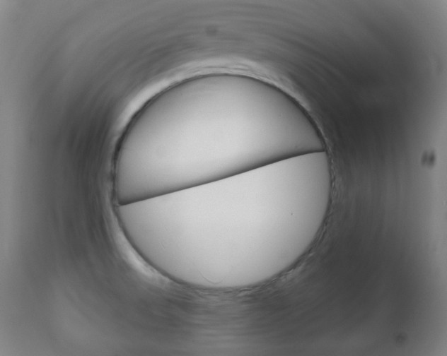 X0000111051523200906251106
