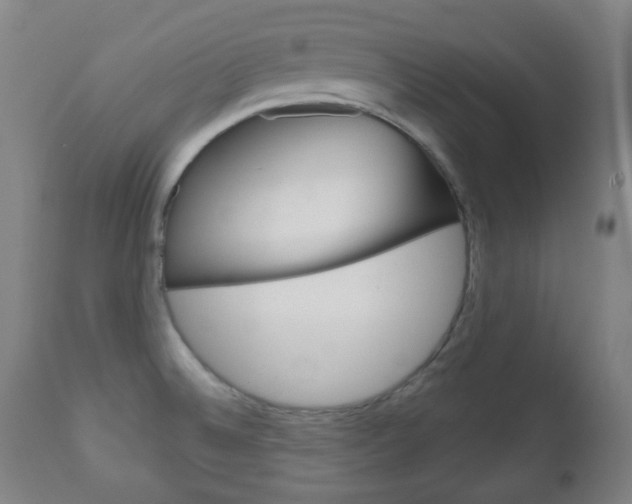 X0000111051524200906251106