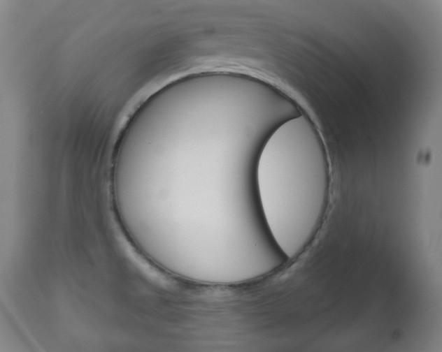 X0000111051525200906251106