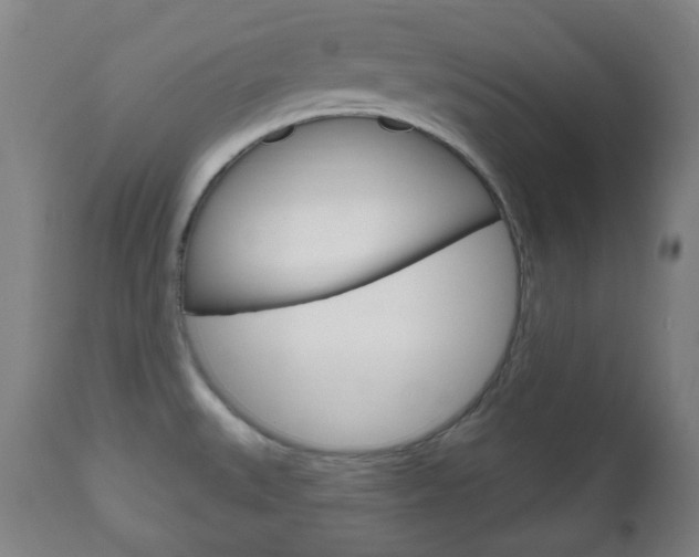 X0000111051527200906251106