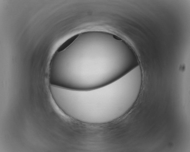X0000111051528200906251106