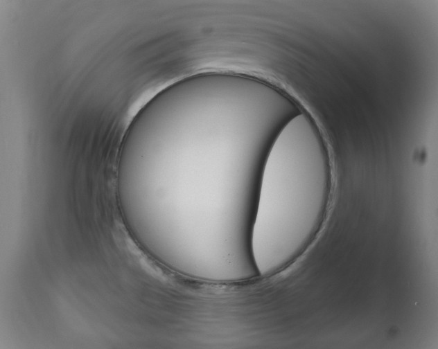 X0000111051529200906251106