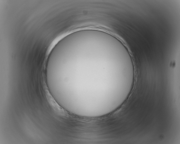 X0000111051530200906251106