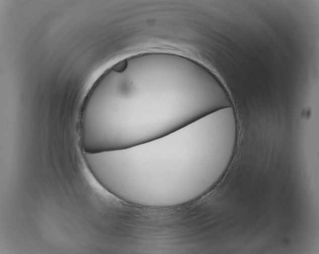 X0000111051531200906251106