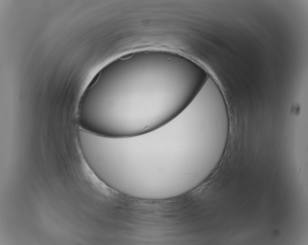 X0000111051532200906251106