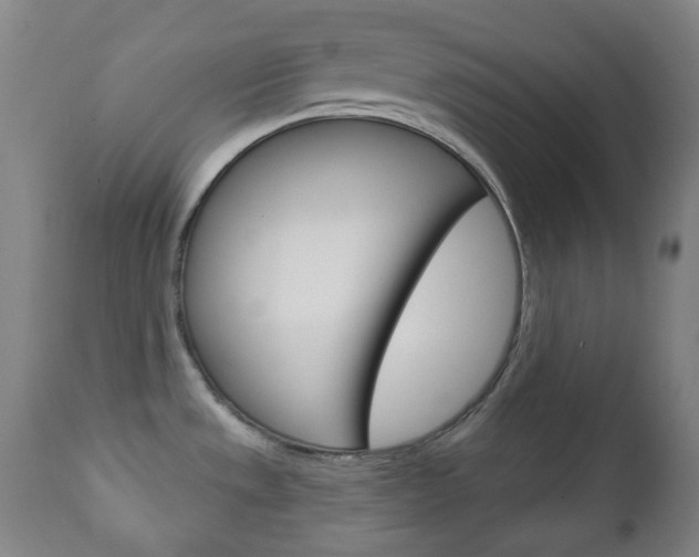 X0000111051533200906251106