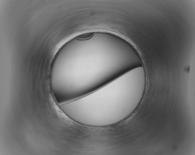 X0000111051534200906251106