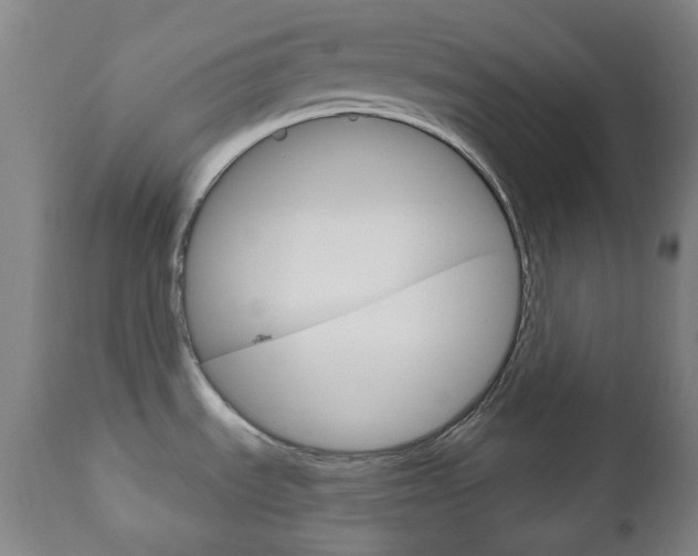 X0000111051535200906251106