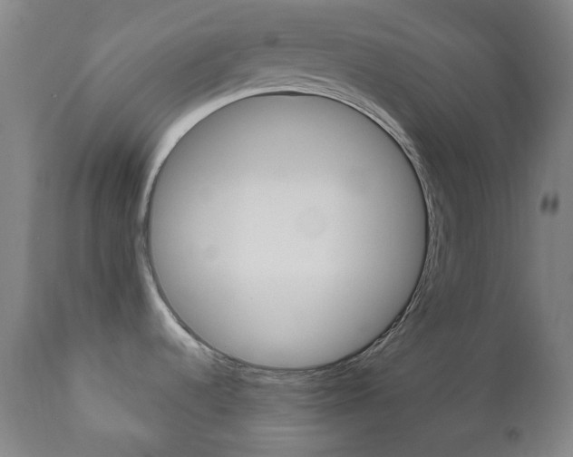 X0000111051536200906251106