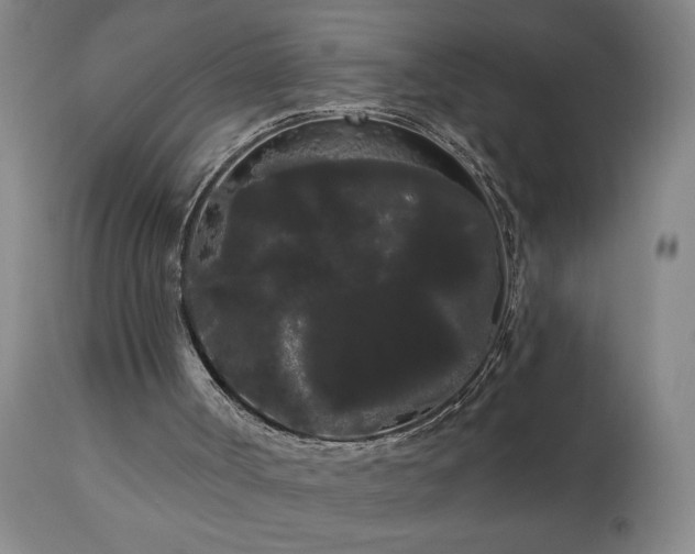 X0000111050002200906251444