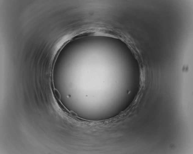 X0000111050003200906251444