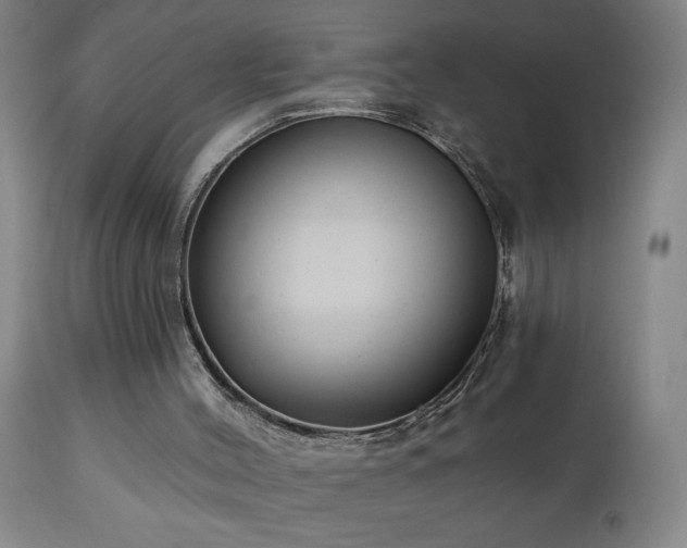 X0000111050004200906251444