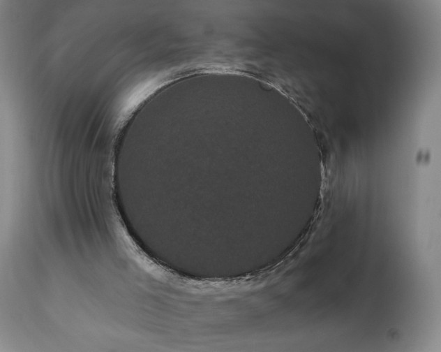 X0000111050005200906251444