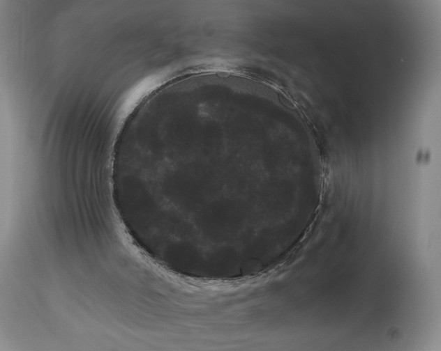 X0000111050006200906251444