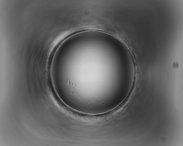 X0000111050008200906251444