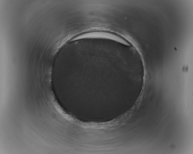 X0000111050009200906251444