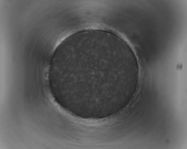 X0000111050010200906251444