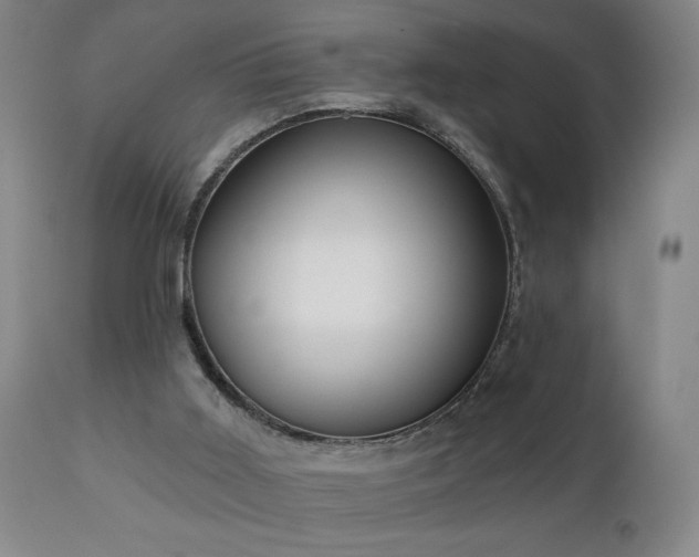 X0000111050011200906251444