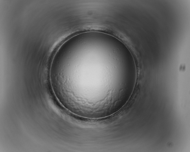 X0000111050012200906251444