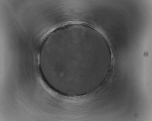 X0000111050013200906251444